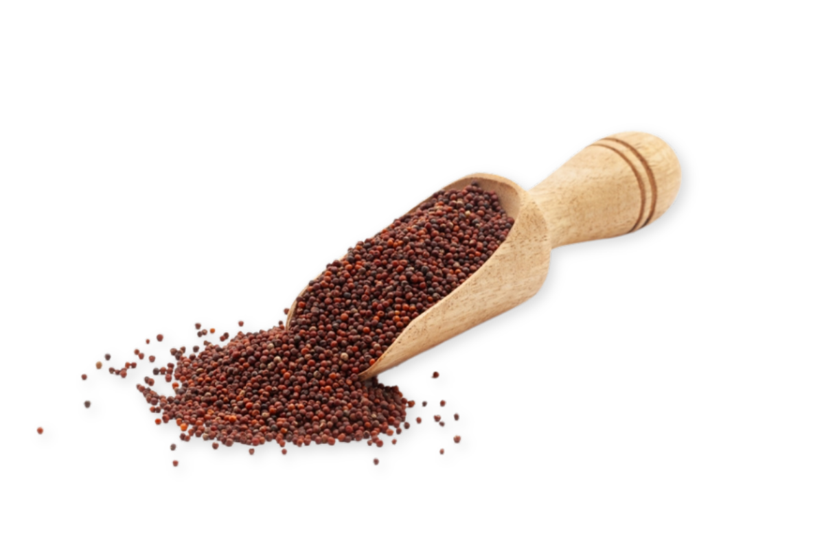 Ragi