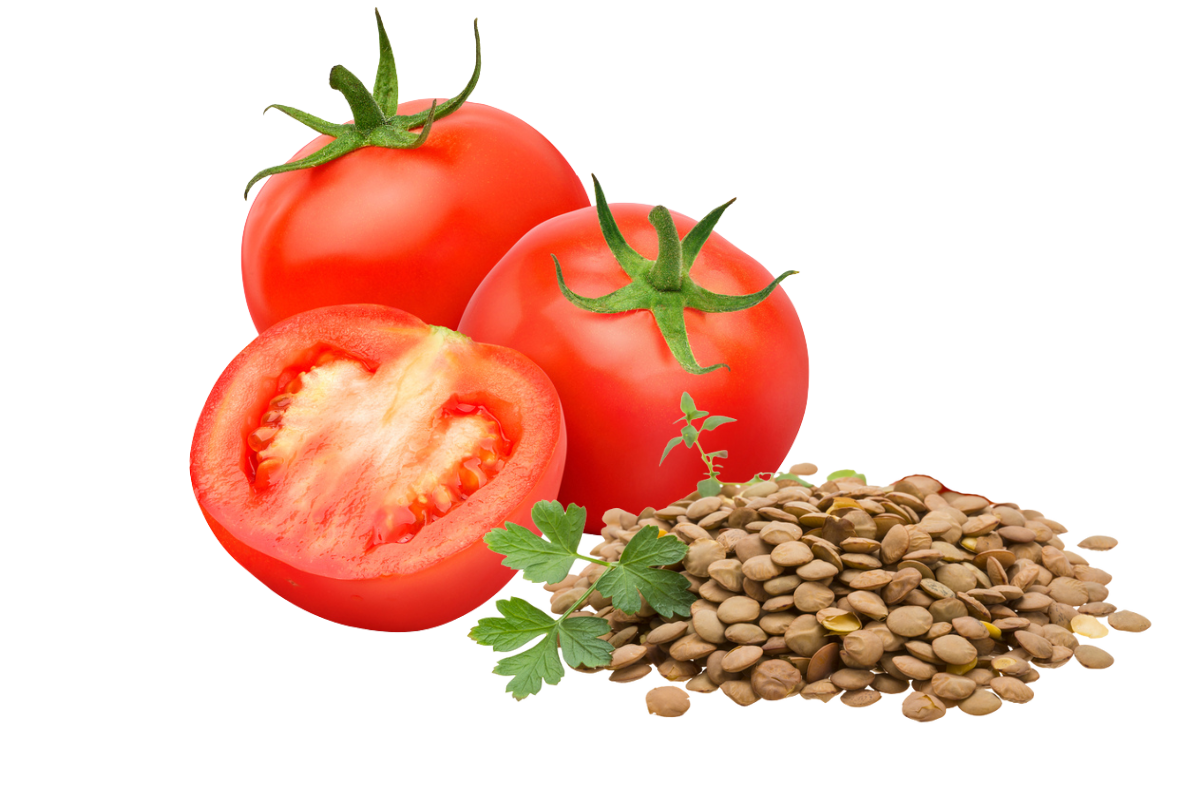 Tomato Seeds